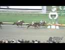 第30回クラスターカップ サンライズアムール
