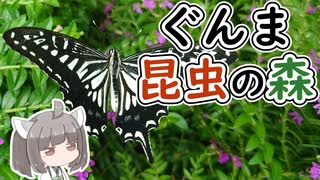 【ニコニコ虫祭り】にっぽんきり探訪 vol.41～ぐんま昆虫の森～【VOICEROID旅行】