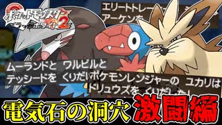 失ったポケモンは二度と戻らない。【BW2】#28