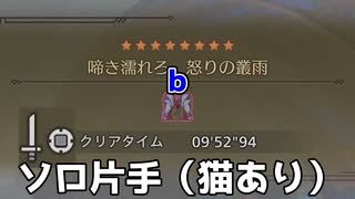 【モンハンワイルズPS5版】フリチャレ歴戦王ウズ・トゥナソロ片手
