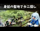 身延の聖地でカニ探し【自作立ち絵投稿祭】【第11回ひじき祭】