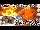 【ゆっくり料理】キャンプでご当地グルメ！！鶏のざる焼きを作ってみた【ゆっくり解説】