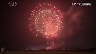 【密着】花火師たちの”最盛期”一瞬の輝きに想い込め