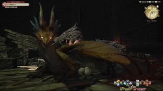 FF14  蒼天のイシュガルド　サブクエスト　高地ドラヴァニア　その子、カル