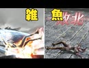 【無双OROCHI２ Ultimate】【リョナ】【妲己】 妖蛇に焼かれてイク