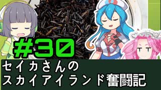 [Cataclysm:DDA 0.H開発版]セイカさんのスカイアイランド奮闘記 パート30