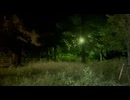 【MV】夏の夜の下