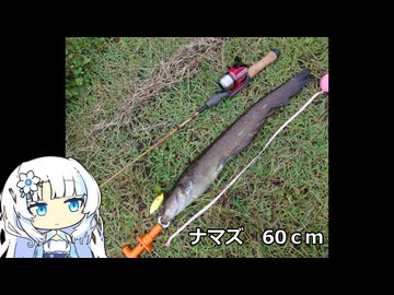 スピンキャスター8話　「愛」　Aパート　【VOICEROIDフィッシング】WhiteCulとずんだもん　