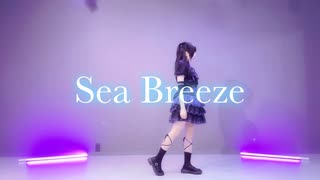 【2周年】Sea Breeze 踊ってみた【とうか】