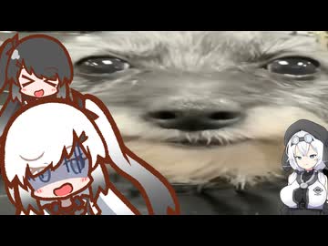 スナック＆洗われた犬からナポレオン大統領パウダーこっそりハッチャーソン鉄逃げ乗用車パイプ回転式遊具（土下座）　アリアル＆ミリアル＆もち子さん＋α実況プレイ【Roblox】