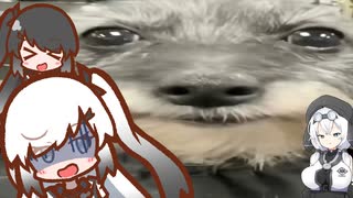 スナック＆洗われた犬からナポレオン大統領パウダーこっそりハッチャーソン鉄逃げ乗用車パイプ回転式遊具（土下座）　アリアル＆ミリアル＆もち子さん＋α実況プレイ【Roblox】