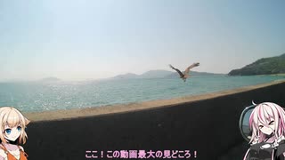 【CeVIO車載】春光る 走るに良き日 小豆島 -2【VMAX1700】