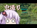 モネの庭で虫撮りチャレンジするよ【ニコニコ虫祭り】