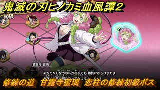 鬼滅の刃ヒノカミ血風譚２　修練の道　甘露寺蜜璃　恋柱の修練初級ボス　＃２５６