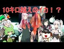 ついなちゃんと行くコラボ釣行part3