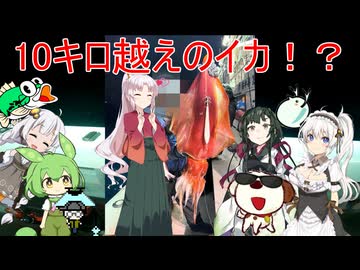 ついなちゃんと行くコラボ釣行part3