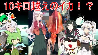 ついなちゃんと行くコラボ釣行part3