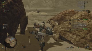 滑り込み斬りおじさん3　（モンスターハンターワイルズ）