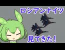 エアショーLIMA2025で戦闘機見てきた! in マレーシア【2025初投稿動画祭】