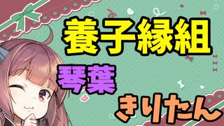 【ボイロ劇場】養子縁組琴葉きりたん