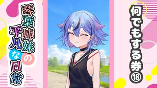 琴葉姉妹の平凡な日常『なんでもする券⑱』【VOICEROID劇場】