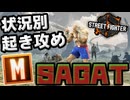 【スト６】モダンサガット状況別起き攻め動画【Ver.2.0000.000】