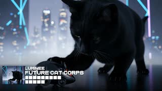 Luminee - Future Cat Corps [黒猫]