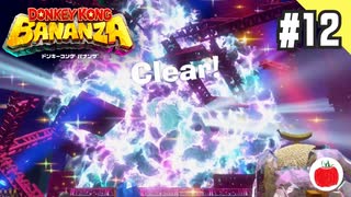 【実況】ドンキーコング バナンザを初見で遊ぶいも【#12】