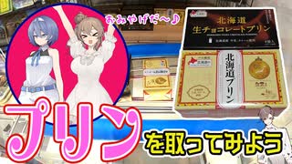 ゲーセンでお土産プリンを調達しようとするタカハシ【クレーンゲーム】