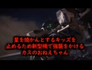 星を焼かんとするキッズを止めるため新型機で強襲をかけるカスのおねえちゃん
