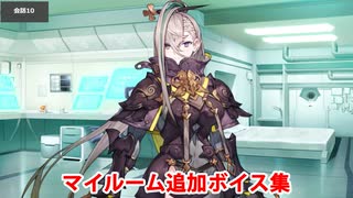 Fate/Grand Order 呼延灼 追加マイルームボイス集（水着イベント2025追加分）