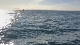 夏休み ニコニコ動画