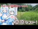 2025年8月13日　農作業日誌P1451　お盆の期間中だけど平常モードへ移行して、農作業頑張る！