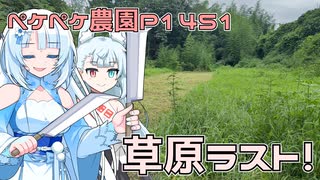 2025年8月13日　農作業日誌P1451　お盆の期間中だけど平常モードへ移行して、農作業頑張る！