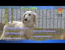 岐阜県の病院では入院中の患者を慰める為に犬の同伴を許可
