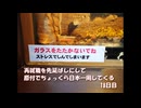 再就職を先延ばしにして原付でちょっくら日本一周してくる【18日目】