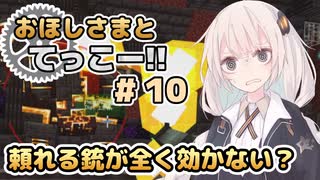 【Minecraft】おほしさまとてっこー!! #10 | 頼れる銃が全く効かない？ 【紲星あかり実況】