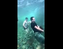 ホモと見る岩を担いで水中を走る陽キャ