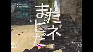 はいまたピネだ