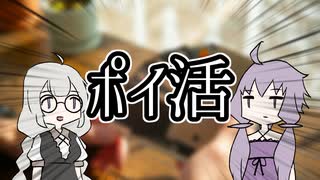 ポイ活