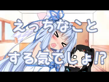 えっっなことする気でしょ！？【ソフトウェアトーク劇場】