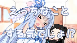 えっっなことする気でしょ！？【ソフトウェアトーク劇場】