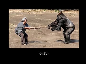 ホモと見るおばあちゃんと化したYouTubeｒ