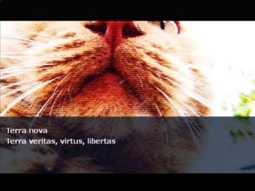 【初音ミク】終末29時【オリジナル曲】