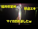 【釣り】福井県某所で邪道エギでマイカを釣っちゃいました！エギング イカ釣り
