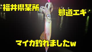 【釣り】福井県某所で邪道エギでマイカを釣っちゃいました！エギング イカ釣り
