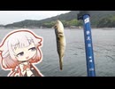 新しい延べ竿を買ったので入魂します！【いきぬき魚釣り】
