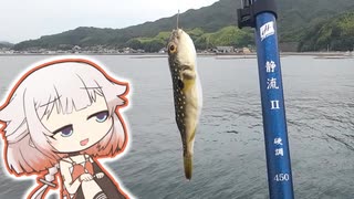 新しい延べ竿を買ったので入魂します！【いきぬき魚釣り】