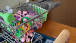 僕の遊び方！