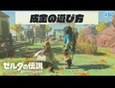 【ゼルダの伝説BotW】初めてのブレワイ！折れない心で未知の世界へ！#80【実況】